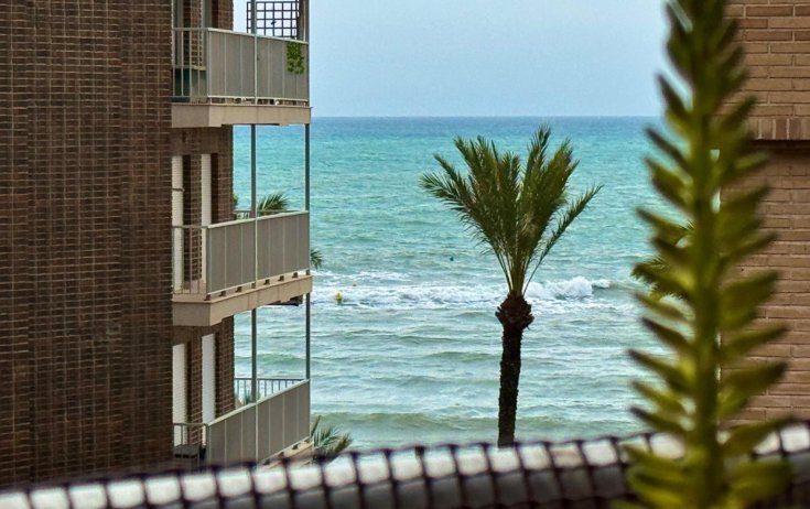 Apartament - Odsprzedaż - Torrevieja - Playa del Cura
