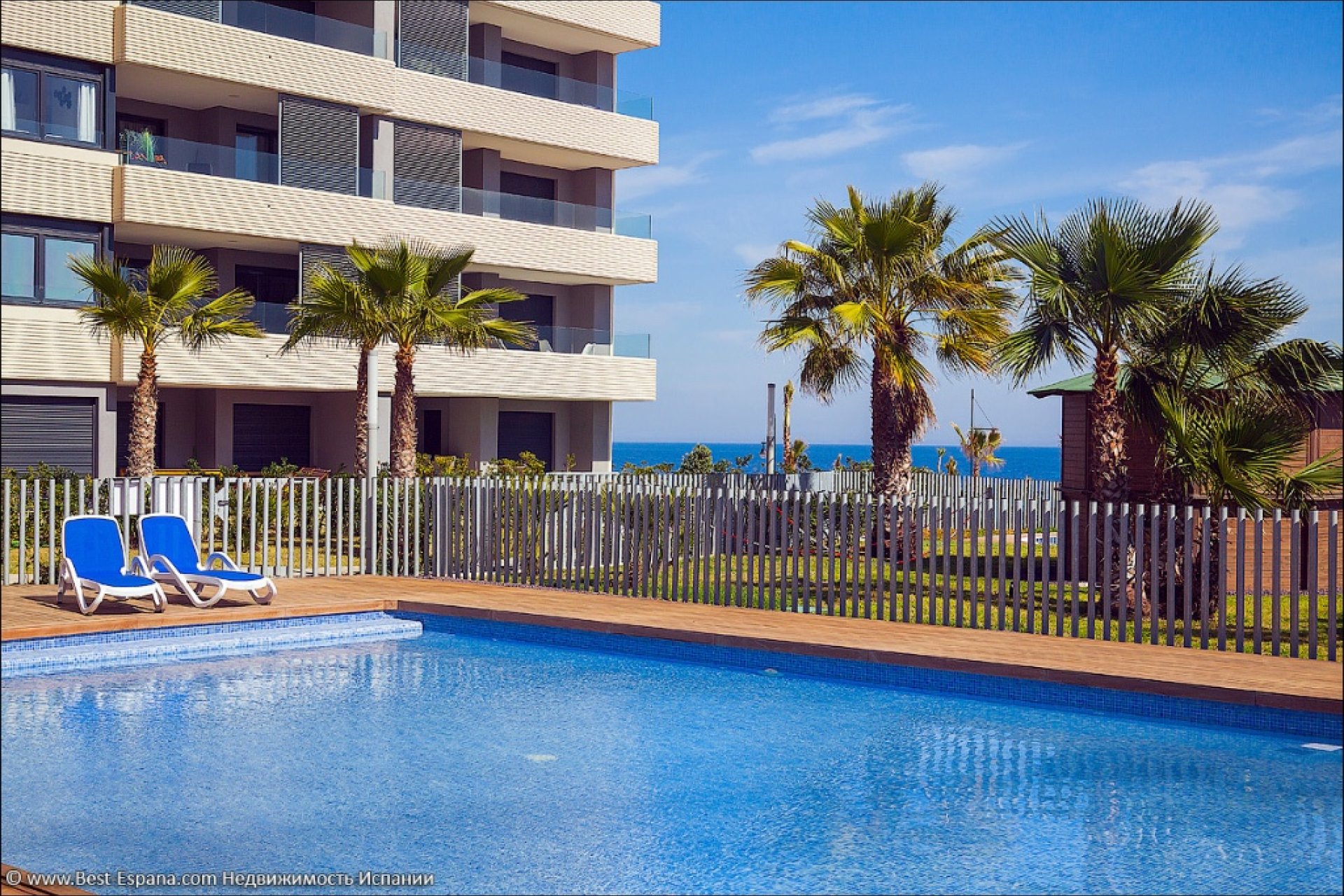  - Apartament - Punta Prima - Panorama Mar