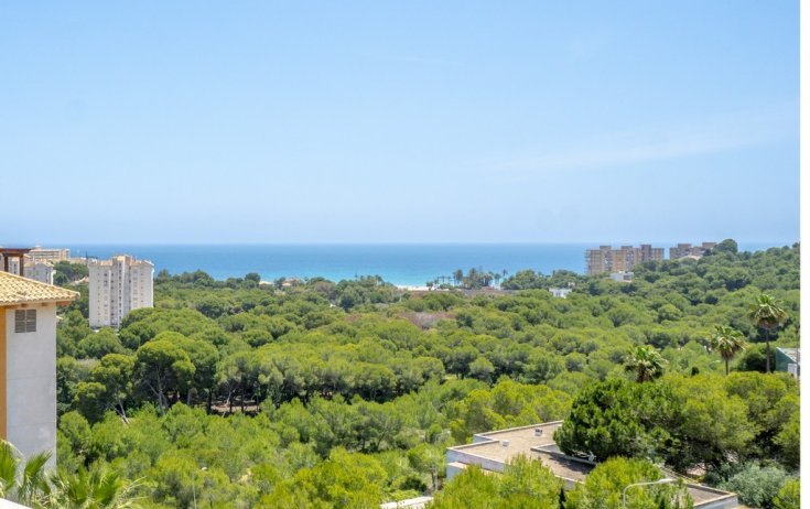 Apartament - Rynek wtórny - Dehesa de campoamor - DEHESA DE CAMPOAMOR