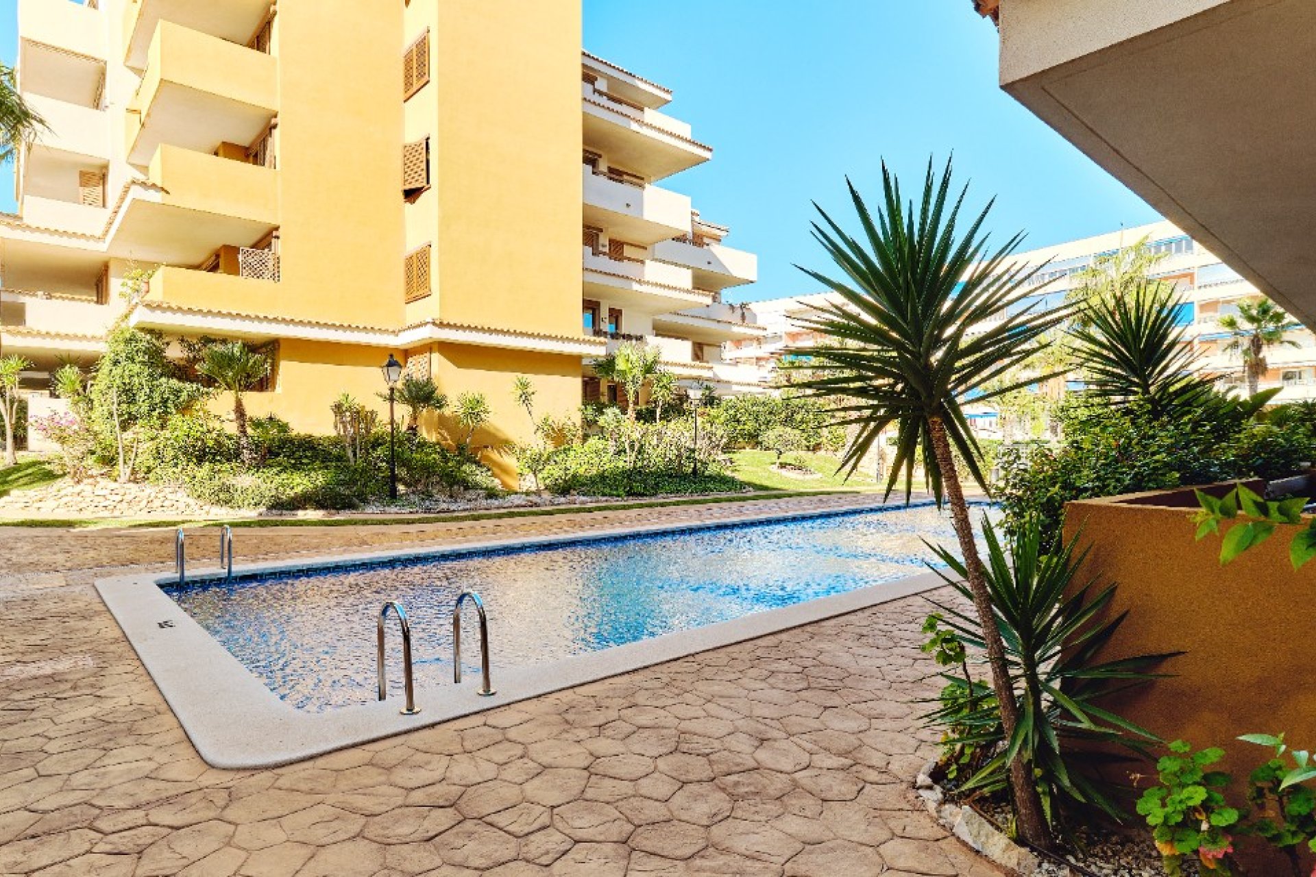  - Apartamento - Punta Prima - La Entrada