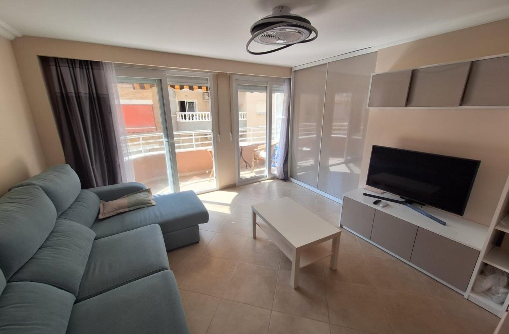  - Apartamento - Torrevieja - Estacion de autobuses