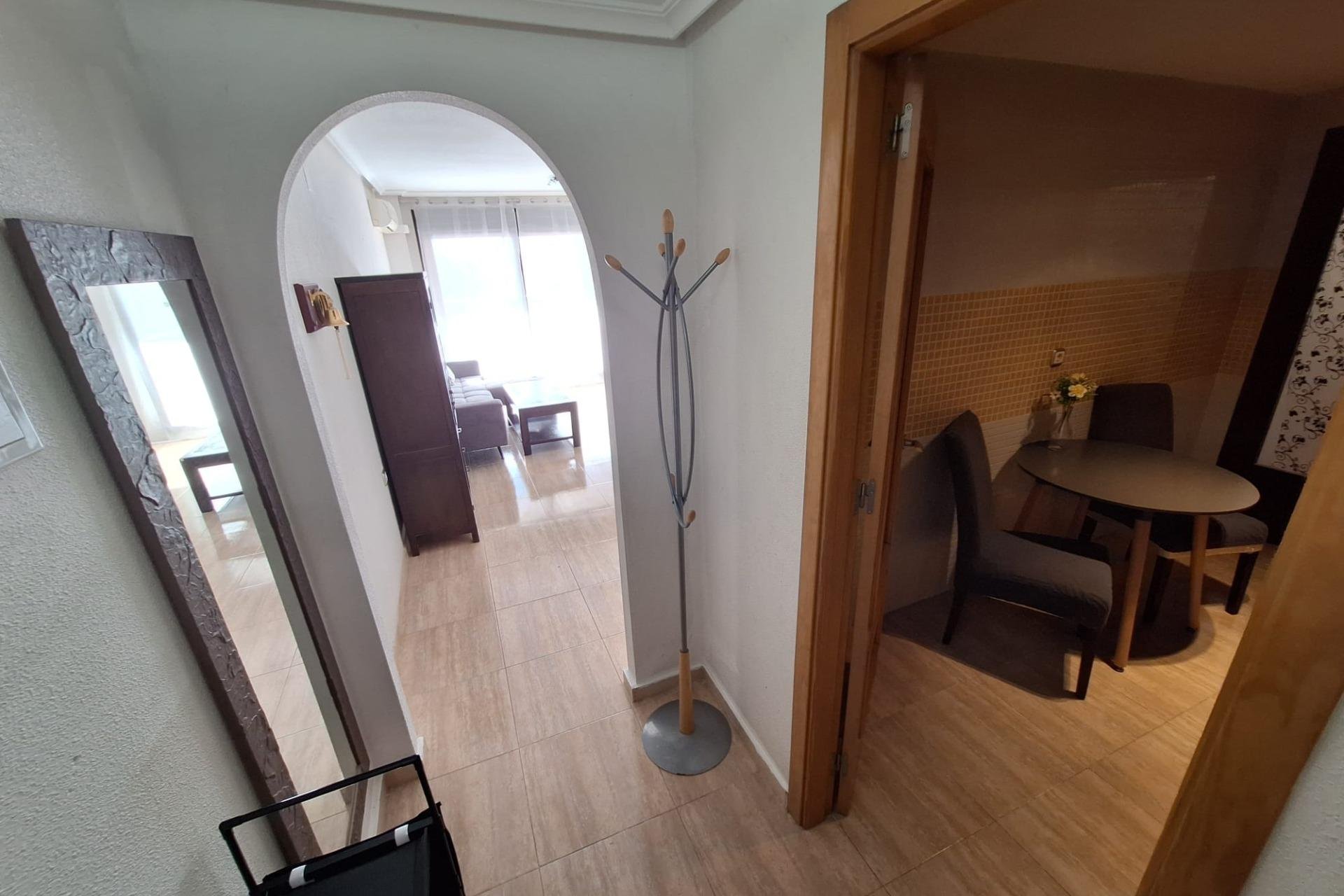  - Apartamento - Torrevieja - Playa de los locos