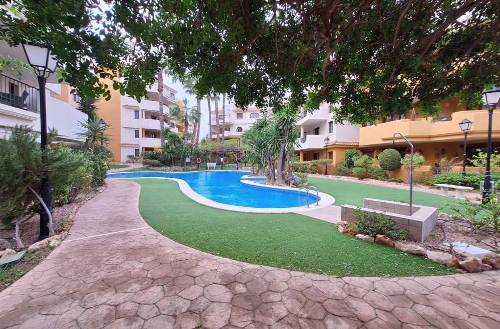  - Apartamento - Torrevieja - Punta prima