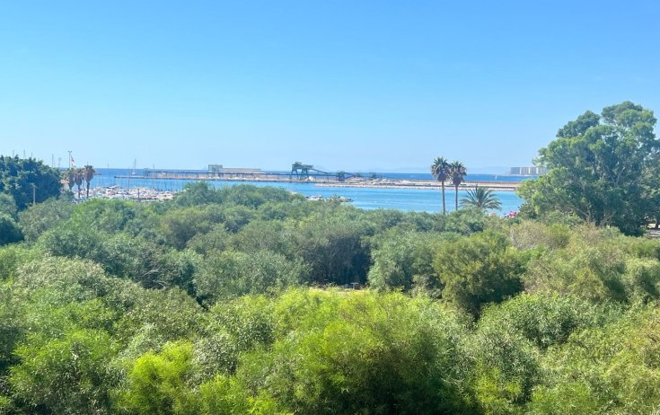 Апартаменты - Вторичное жилье - Torrevieja - torrevieja