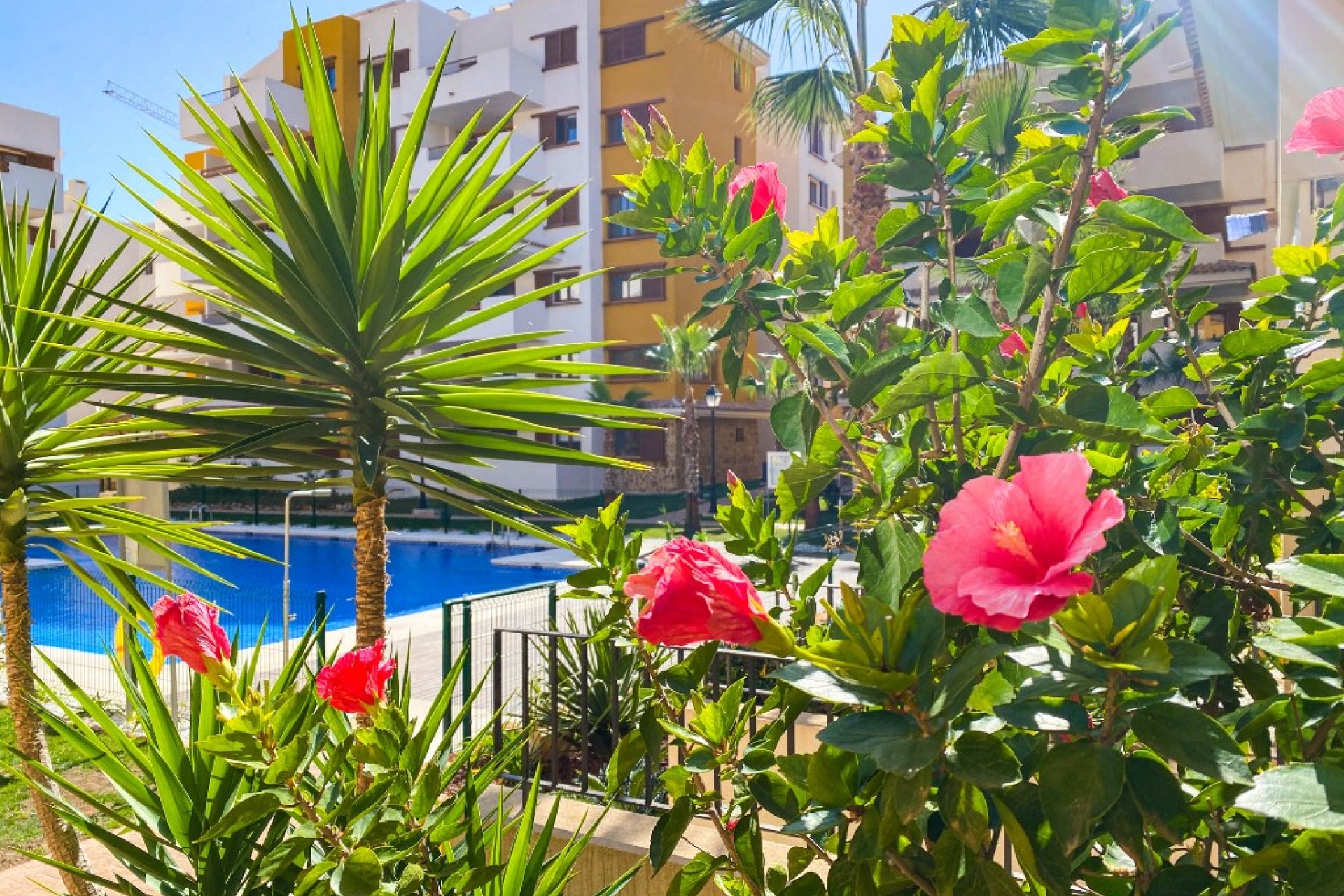  - Apartment - Punta Prima - La Recoleta