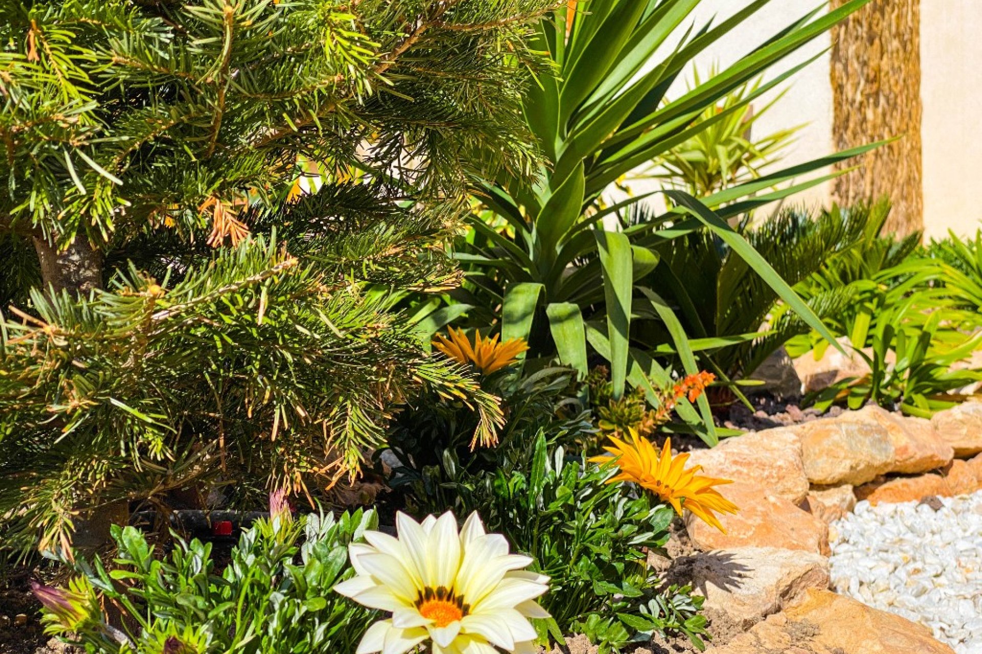  - Apartment - Punta Prima - La Recoleta