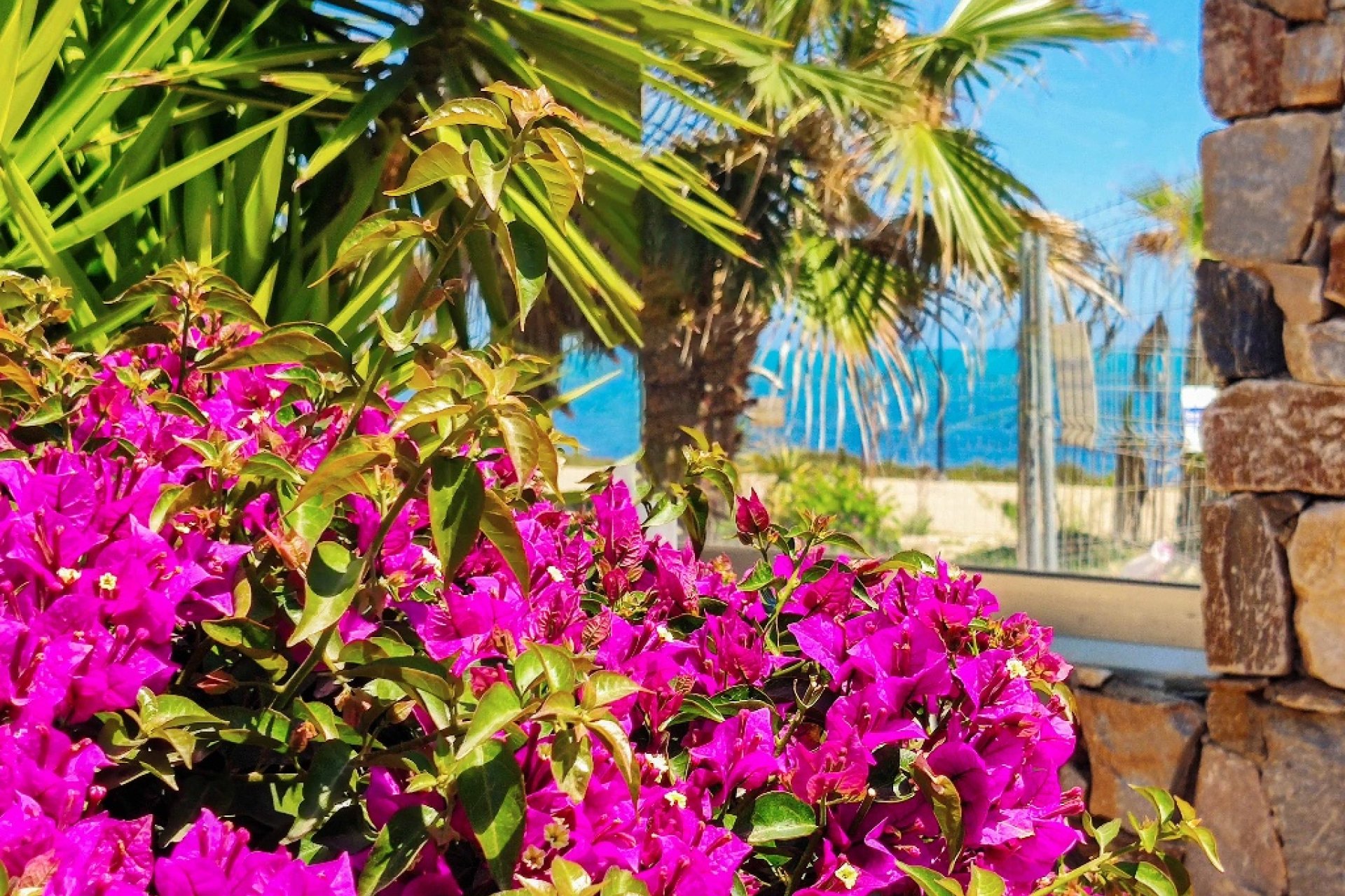  - Apartment - Punta Prima - Panorama Mar