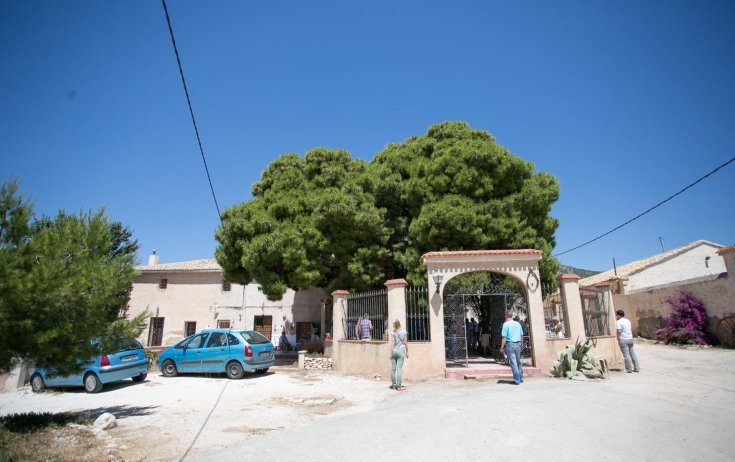 Bodega - Reventa - Pinoso - CENTRO