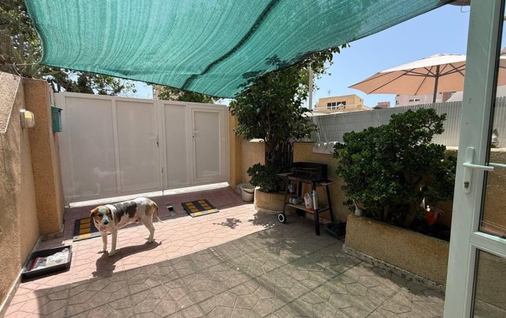 Бунгало - Вторичное жилье - Torrevieja - Nueva Torrevieja