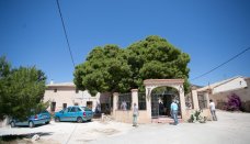 Cellar - Resale - Pinoso - ALG-79428