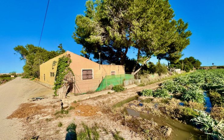 Chalet - Reventa - Guardamar del Segura - Guardamar del Segura