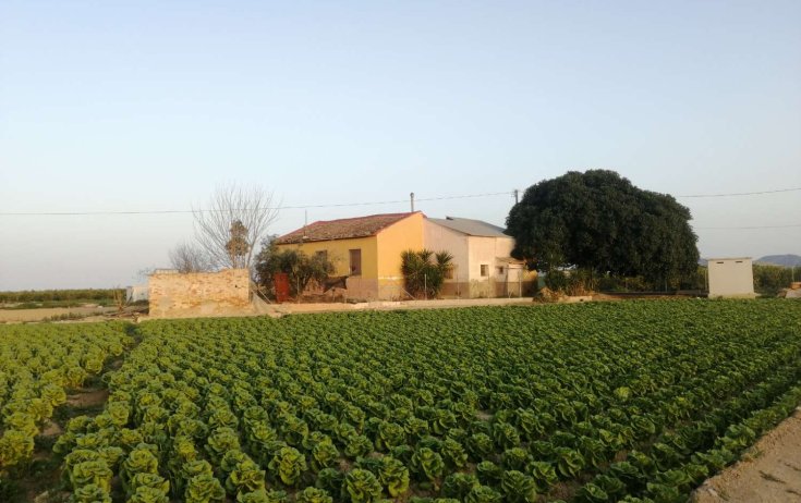 Chalet - Reventa - Orihuela - Orihuela