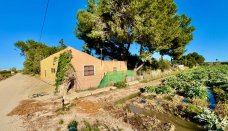 Finca / Nieruchomość wiejska - Rynek wtórny - Guardamar del Segura - SLP-30334