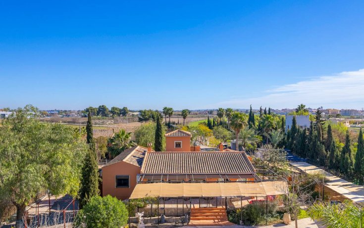 Finca / Propiedad en el campo - Reventa - Catral - Catral