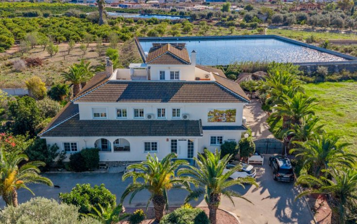 Finca / Propiedad en el campo - Reventa - Los Montesinos - Los Montesinos