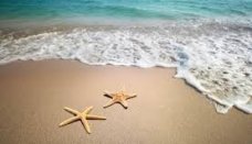 Hotel - Resale - Murcia - IH-74791