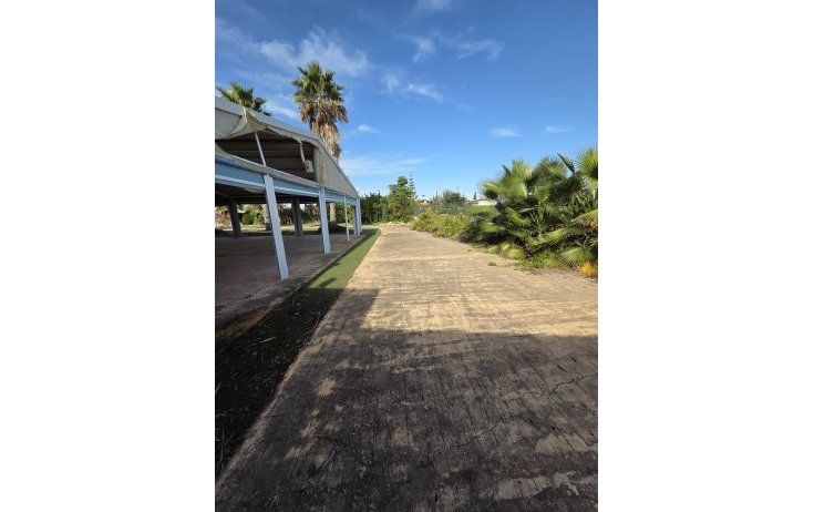 Местная коммерческая - Вторичное жилье - Callosa de Segura - Callosa de Segura