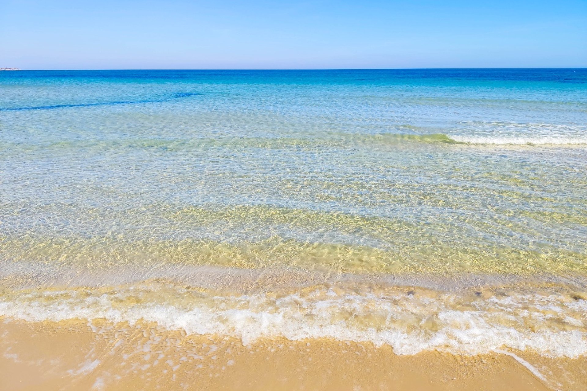 New build - Apartment - Pilar de la Horadada - TORRE DE LA HORADADA