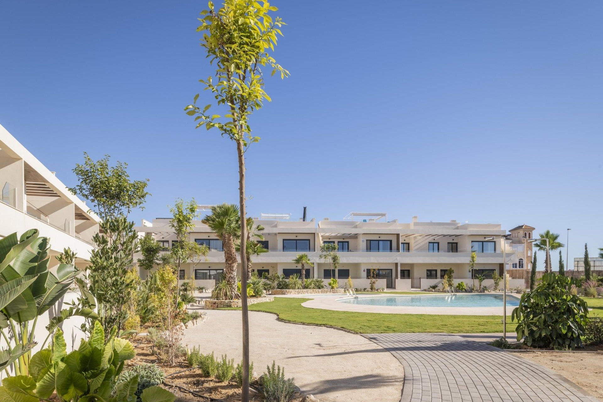 New build - Bungalow - Torrevieja - Villa Amalia