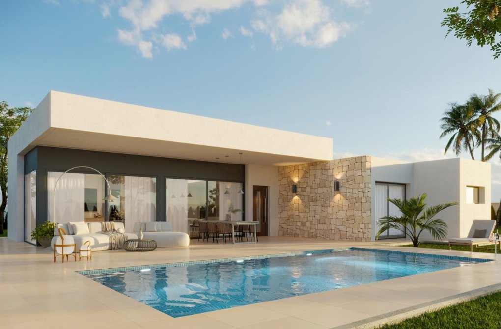 New build - Villa - Aspe - Poligono 19