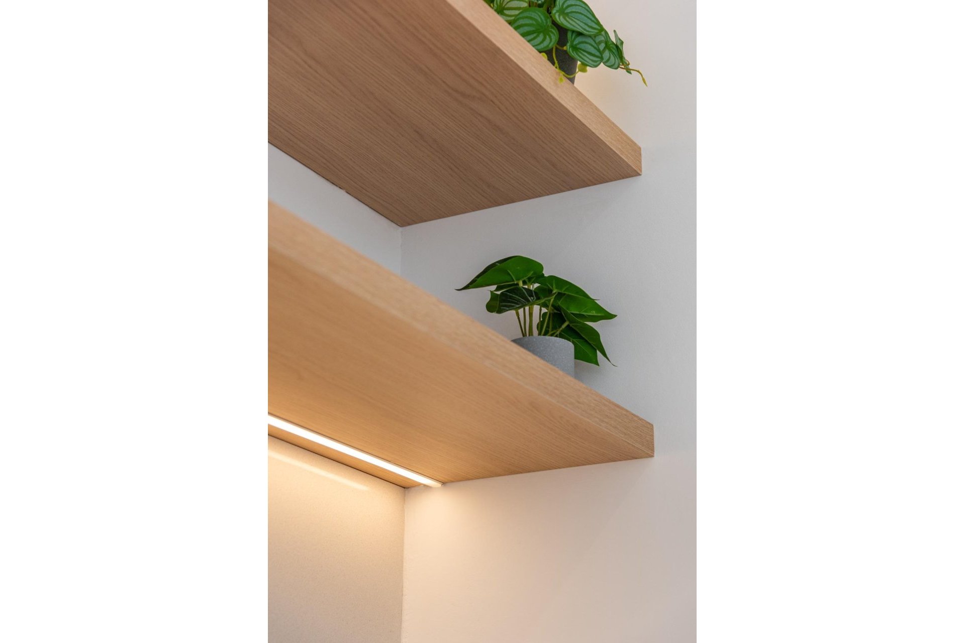 New build - Villa - Los Alcázares - Serena Golf