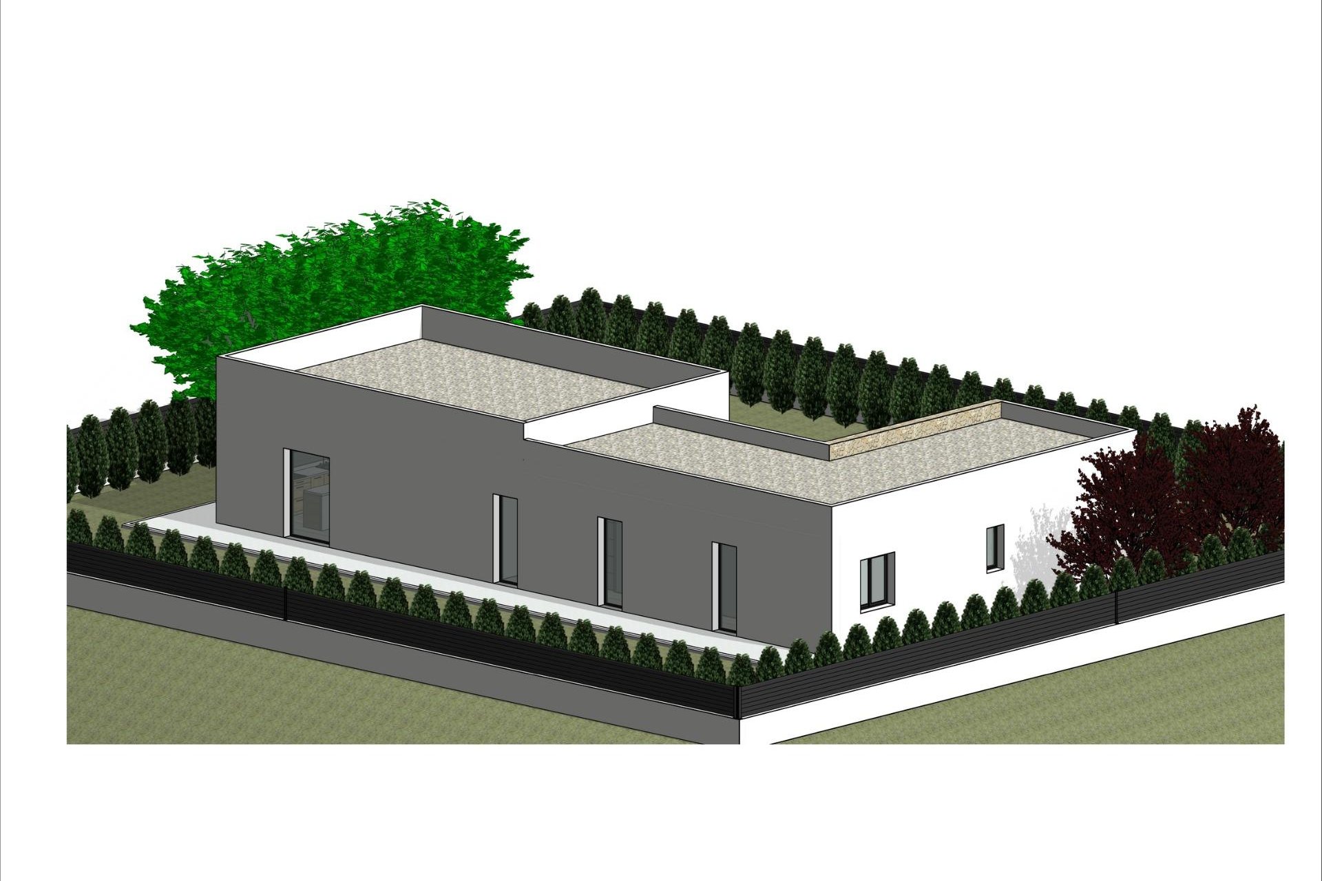 New Build - Villa - Pinoso - Lel