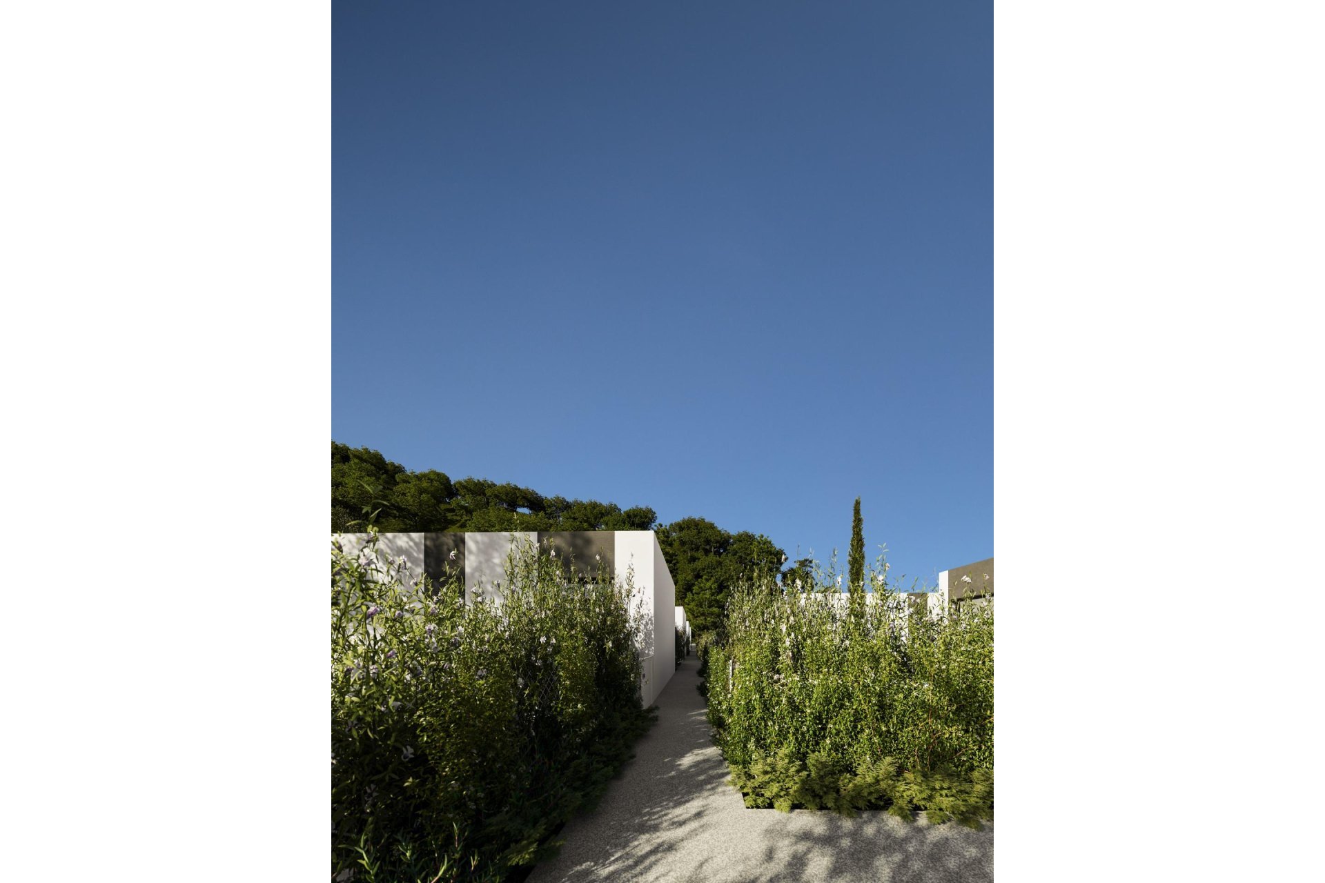 Новостройка - Bилла - l'Alfas del Pi - Colonia Escandinavia-Cautivador