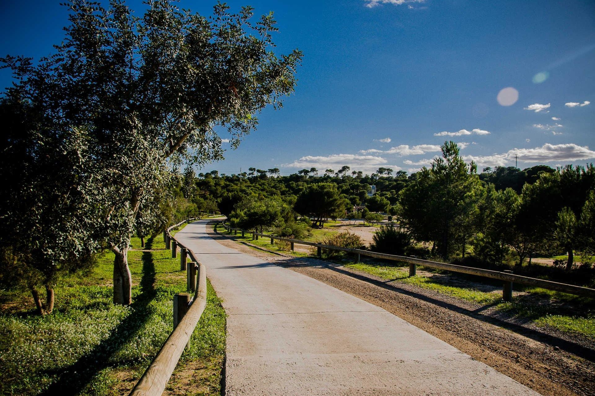 Новостройка - Bилла - Rojales - Ciudad Quesada