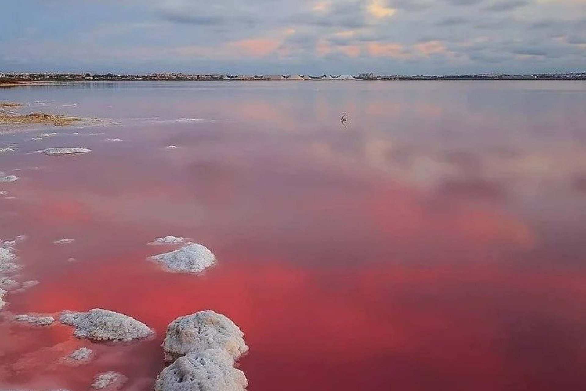 Новостройка - Bилла - Torrevieja - Lago Jardín II