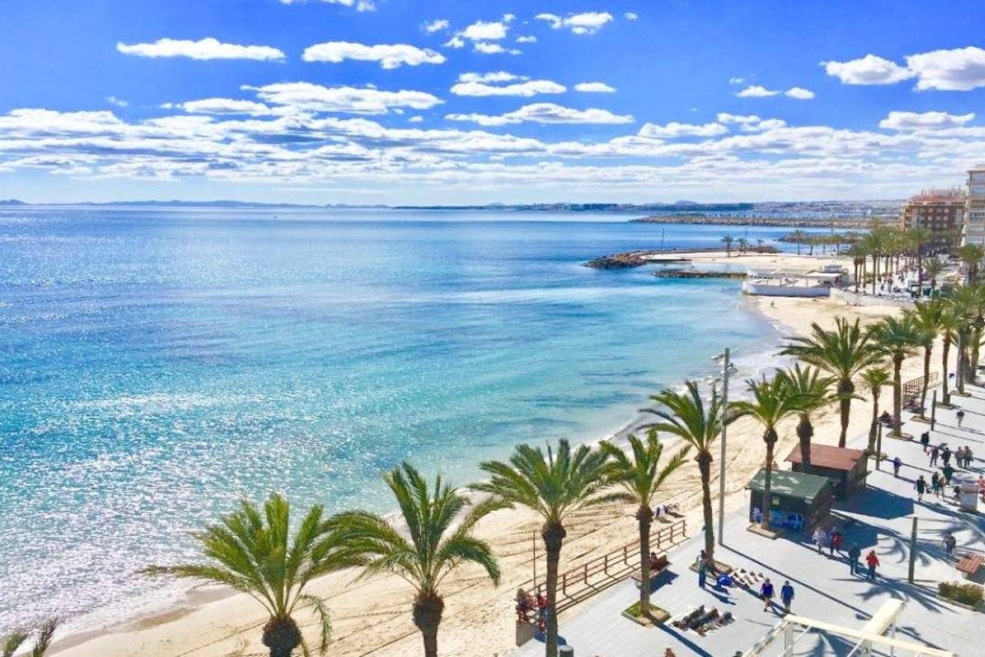 Новостройка - Бунгало - Torrevieja - Lago Jardín II