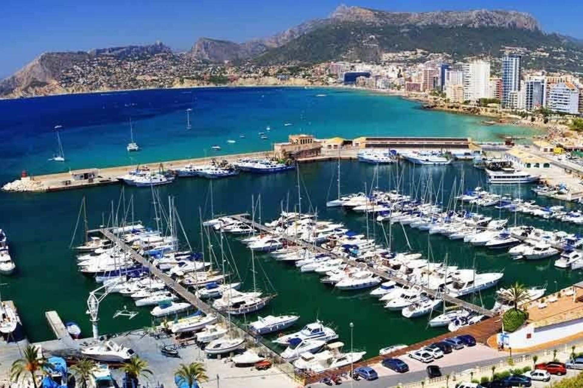 Новостройка - Квартира - Calpe - Playa del Bol