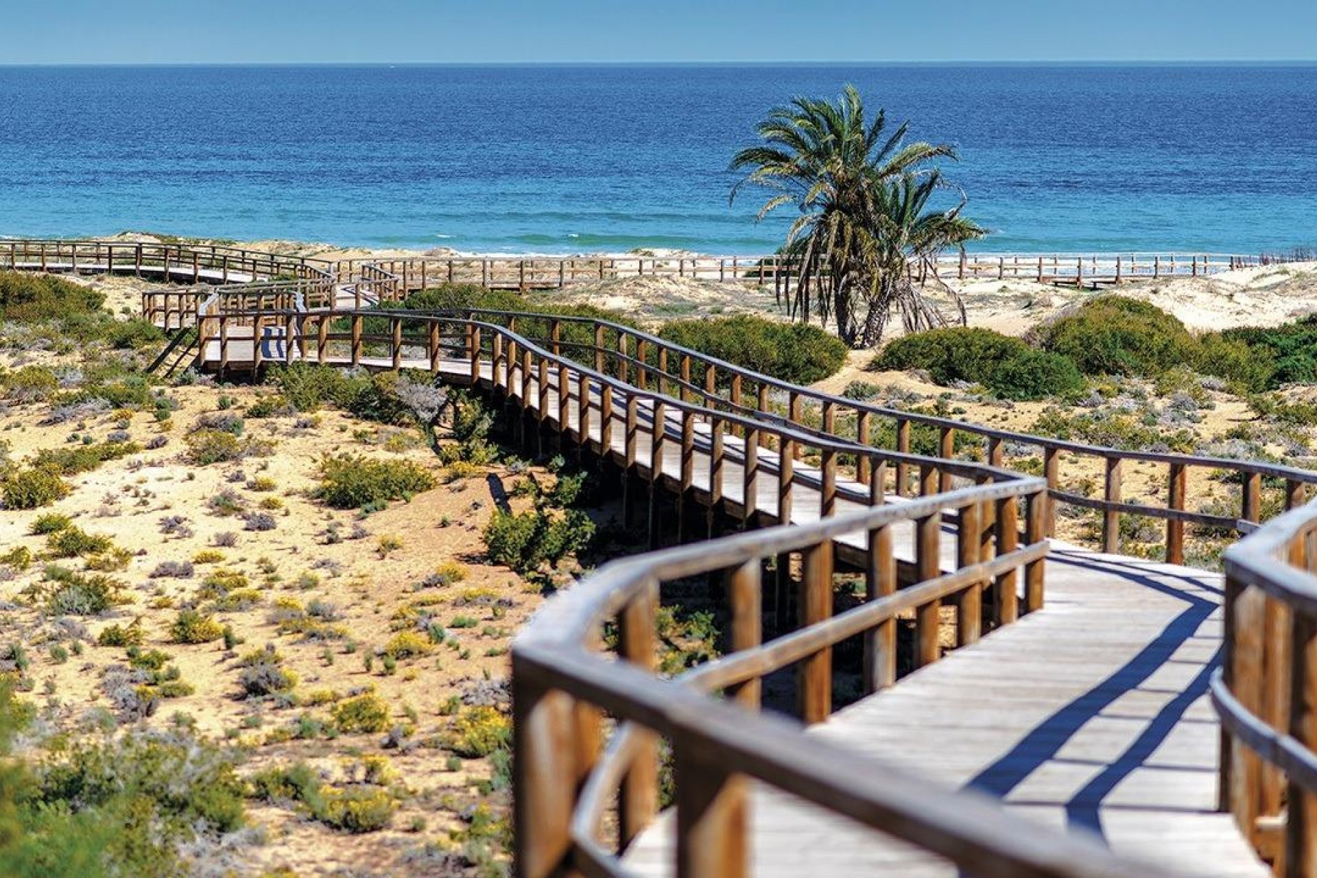 Новостройка - Квартира - Monforte del Cid - Alenda Golf