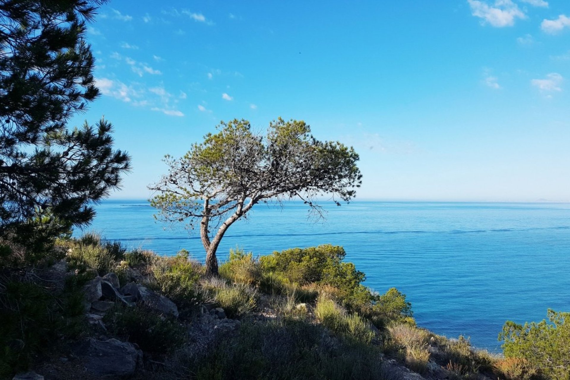 Новостройка - Квартира - Villajoyosa - Playas Del Torres