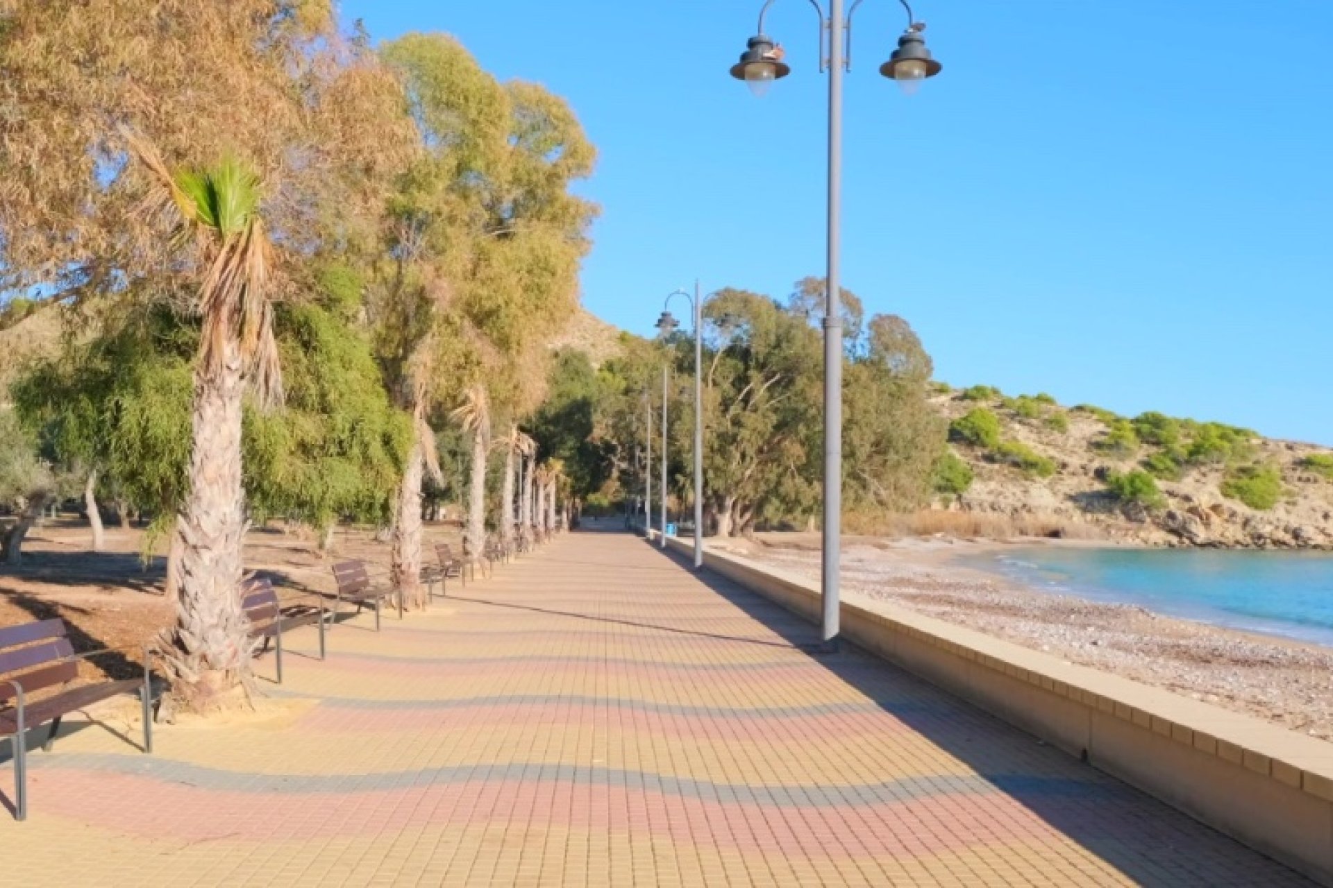 Obra nueva - Apartamento - Benidorm - Alicante