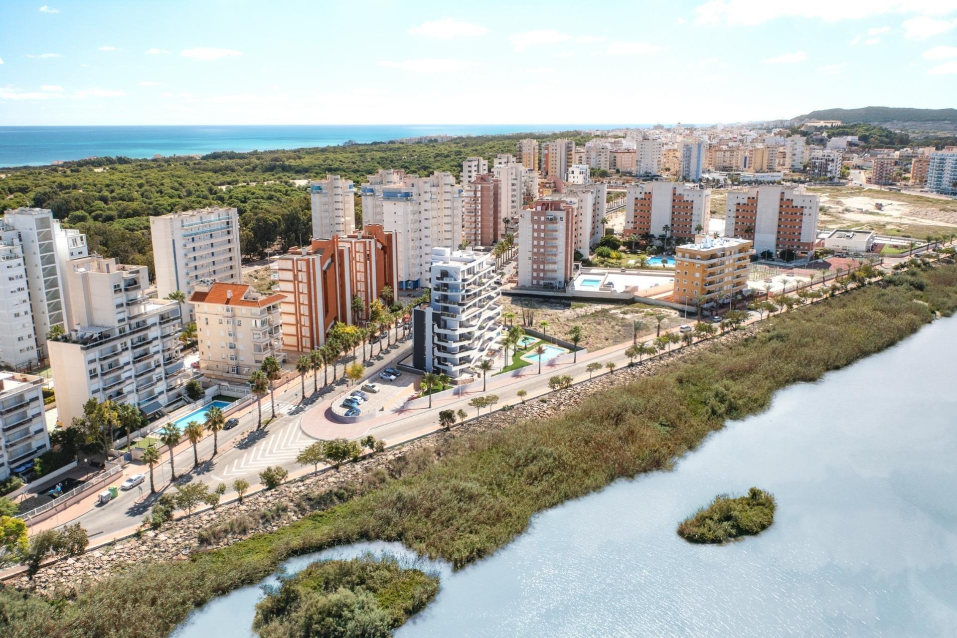 Obra nueva - Apartamento - Guardamar del Segura - Puerto