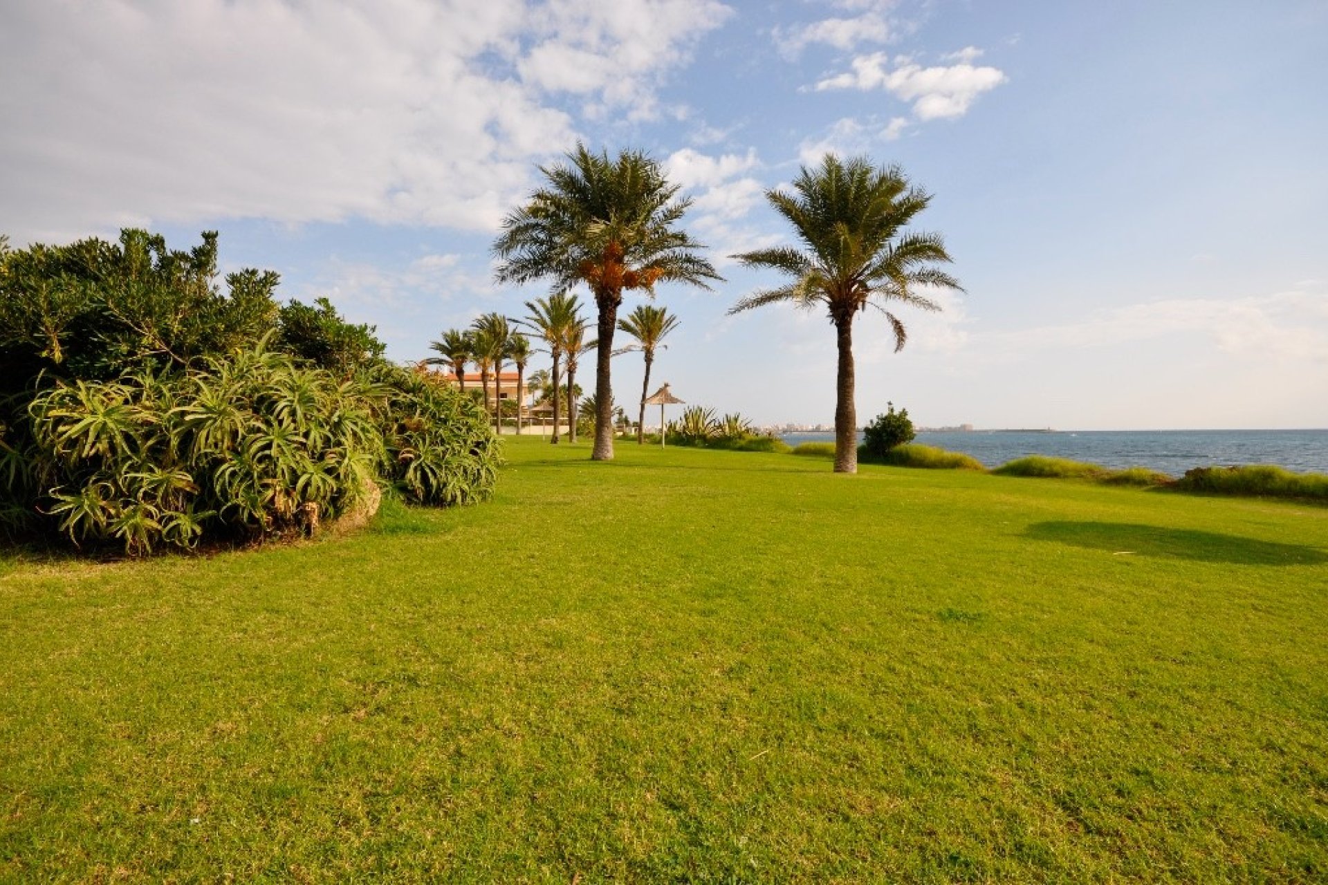 Obra nueva - Apartamento - Torrevieja - torrevieja