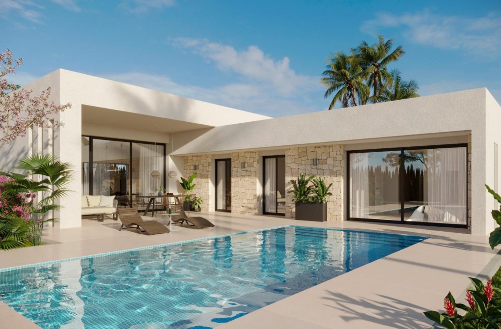 Obra nueva - Chalet - Aspe - Poligono 19