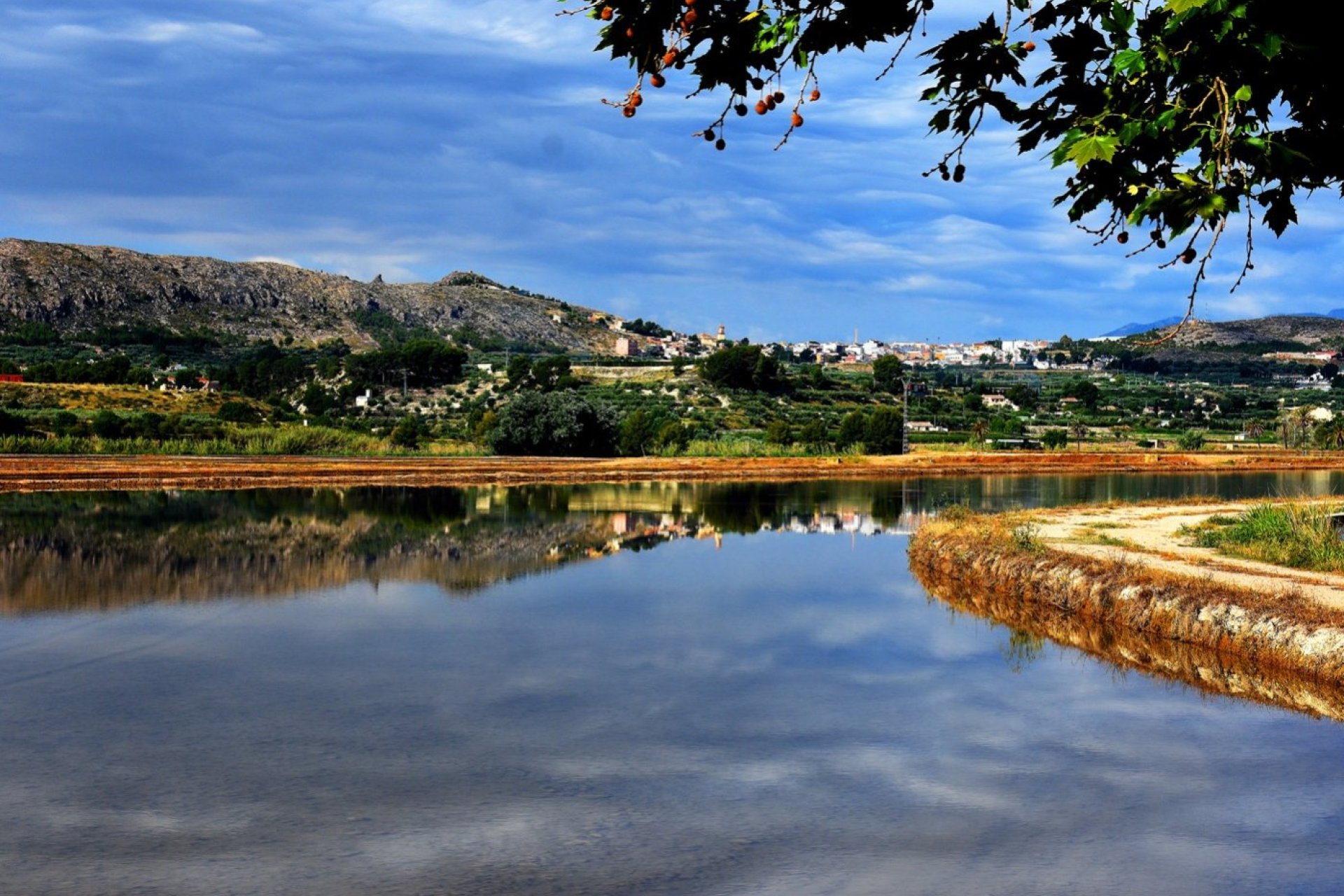 Obra nueva - Chalet - Calasparra - Coto riñales