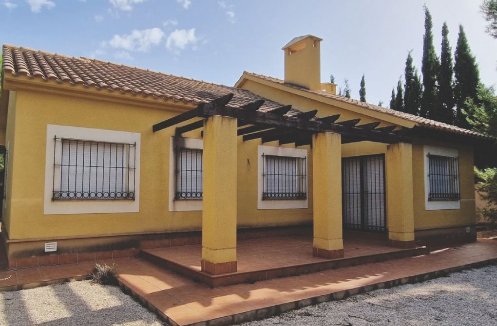 Obra nueva - Chalet - Fuente Álamo - Las Palas