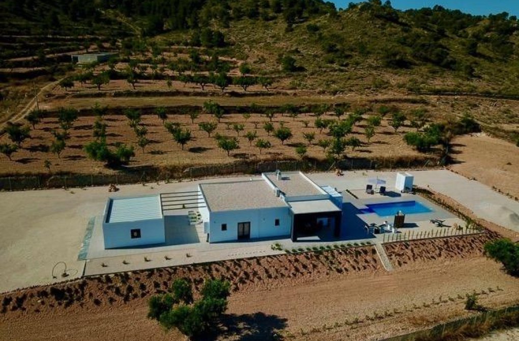 Obra nueva - Chalet - Jumilla - Torre del Rico