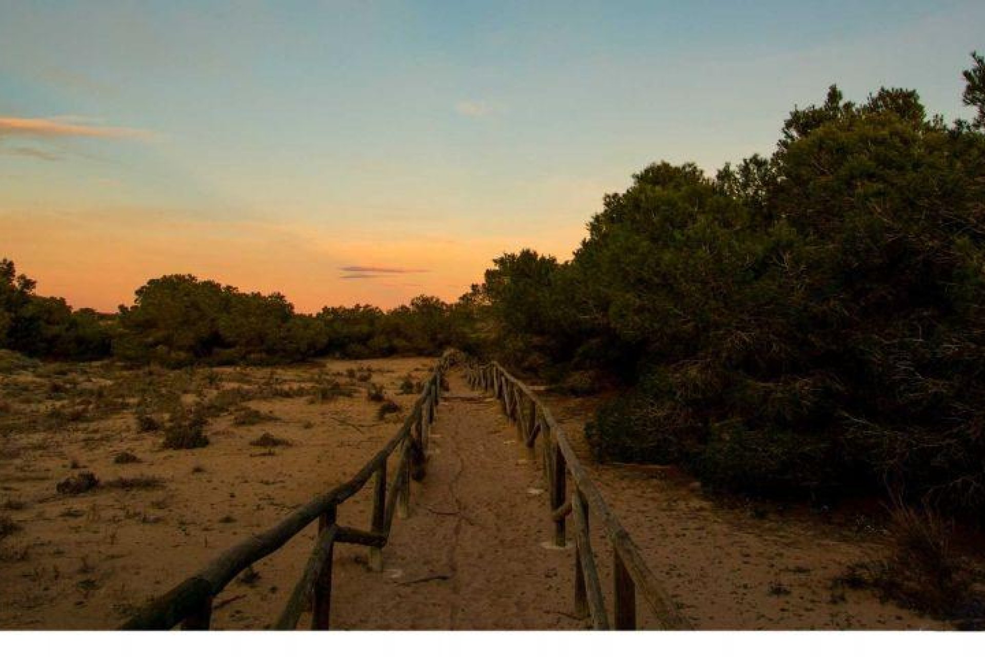 Obra nueva - Chalet - La Marina - La Marina / El Pinet