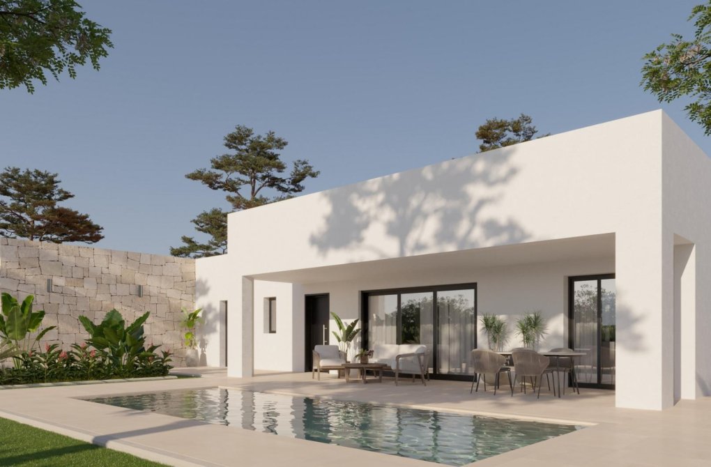 Obra nueva - Chalet - La Romana - Batistes