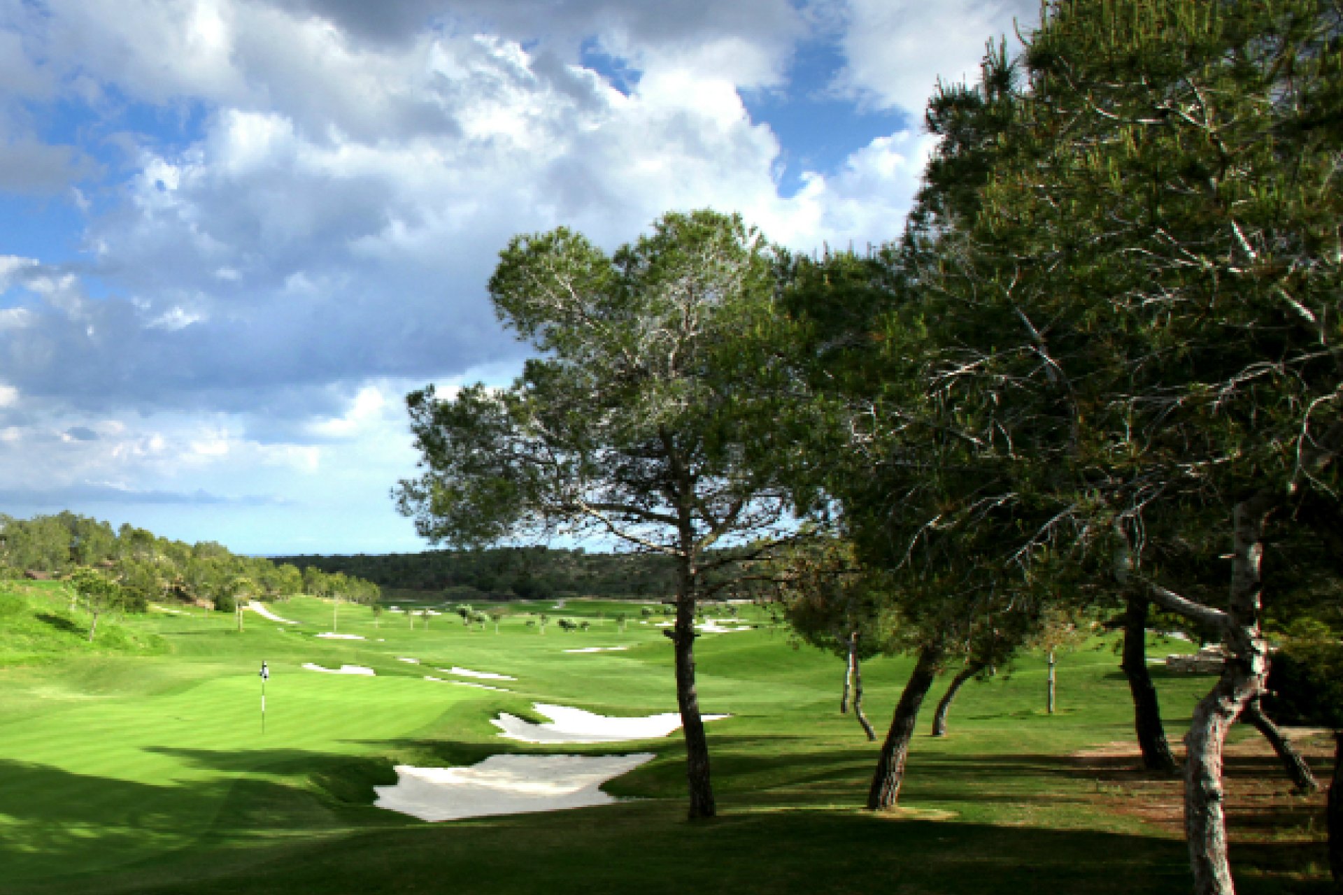 Obra nueva - Chalet - Las Colinas - Las Colinas Golf