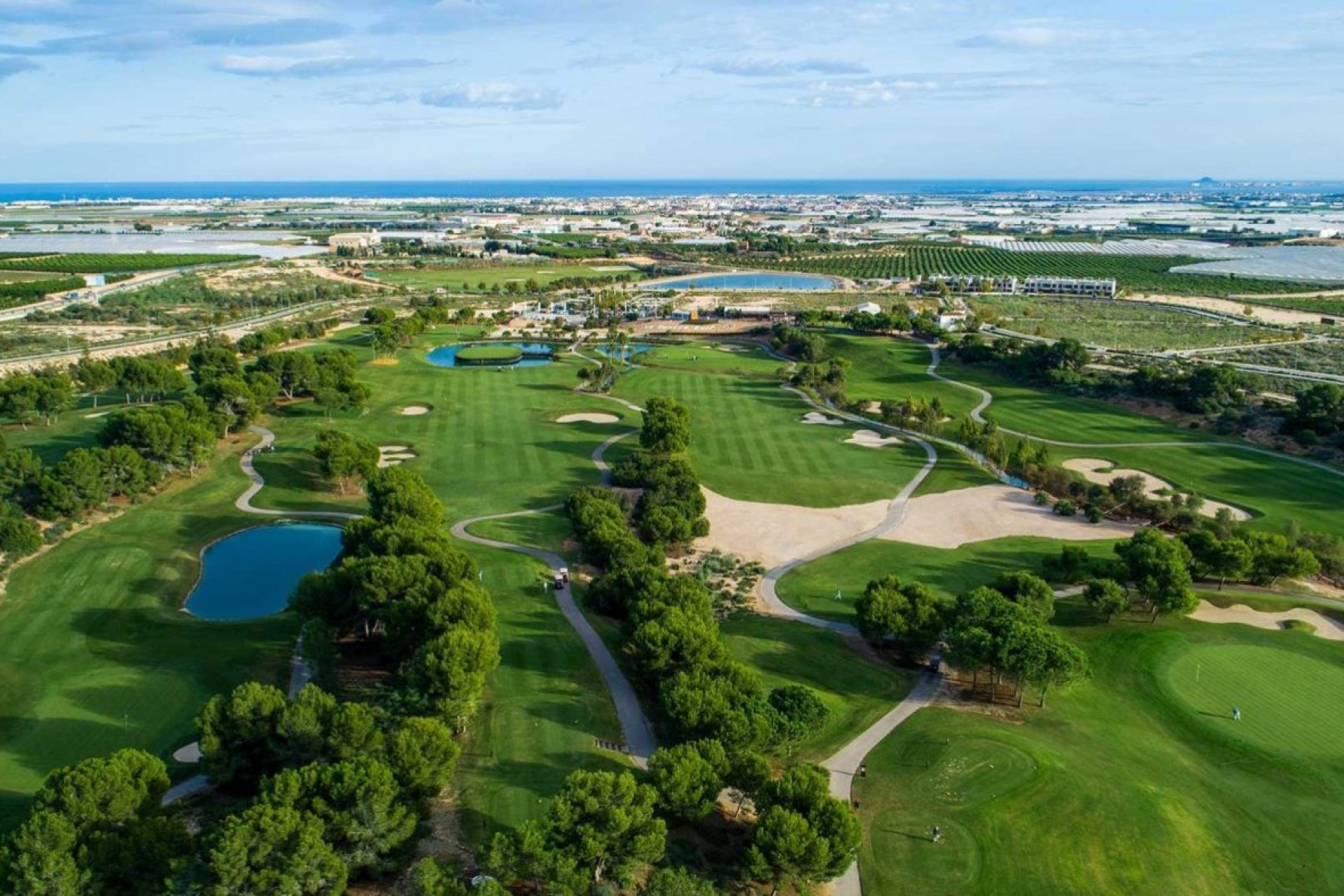 Obra nueva - Chalet - Pilar de la Horadada - Lo Romero Golf