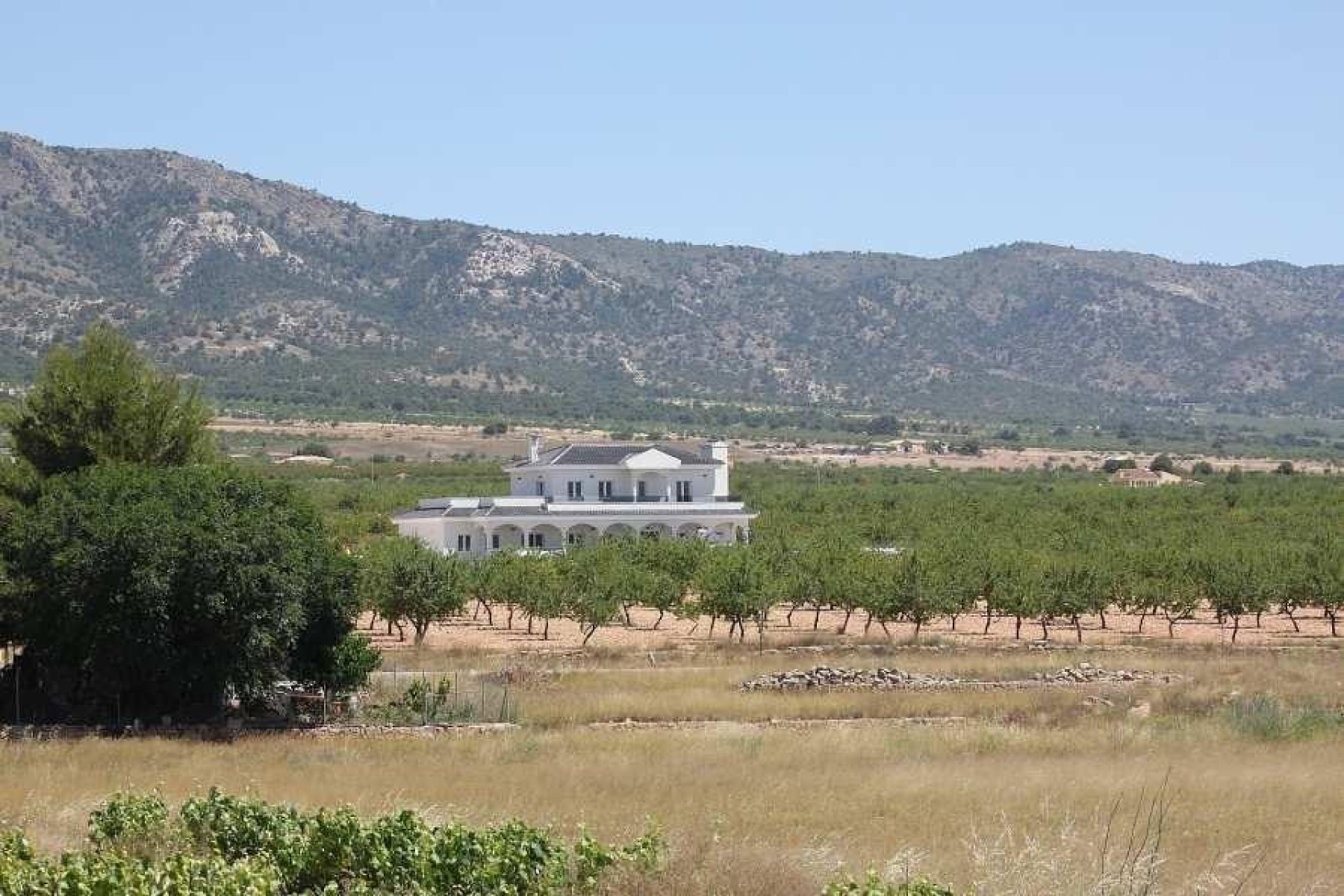 Obra nueva - Chalet - Pinoso - Camino Del Prado