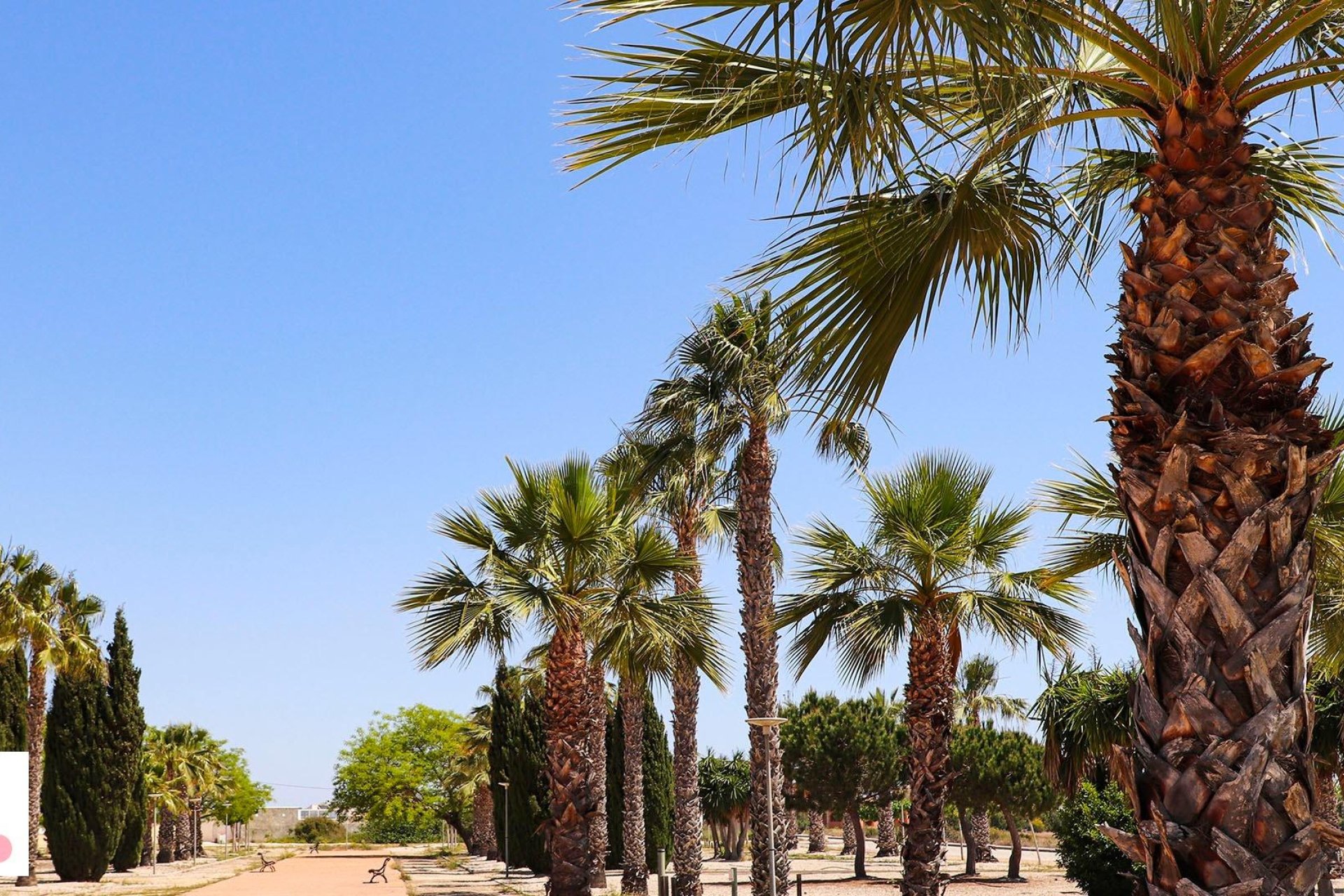 Obra nueva - Chalet - San Fulgencio - La Escuera