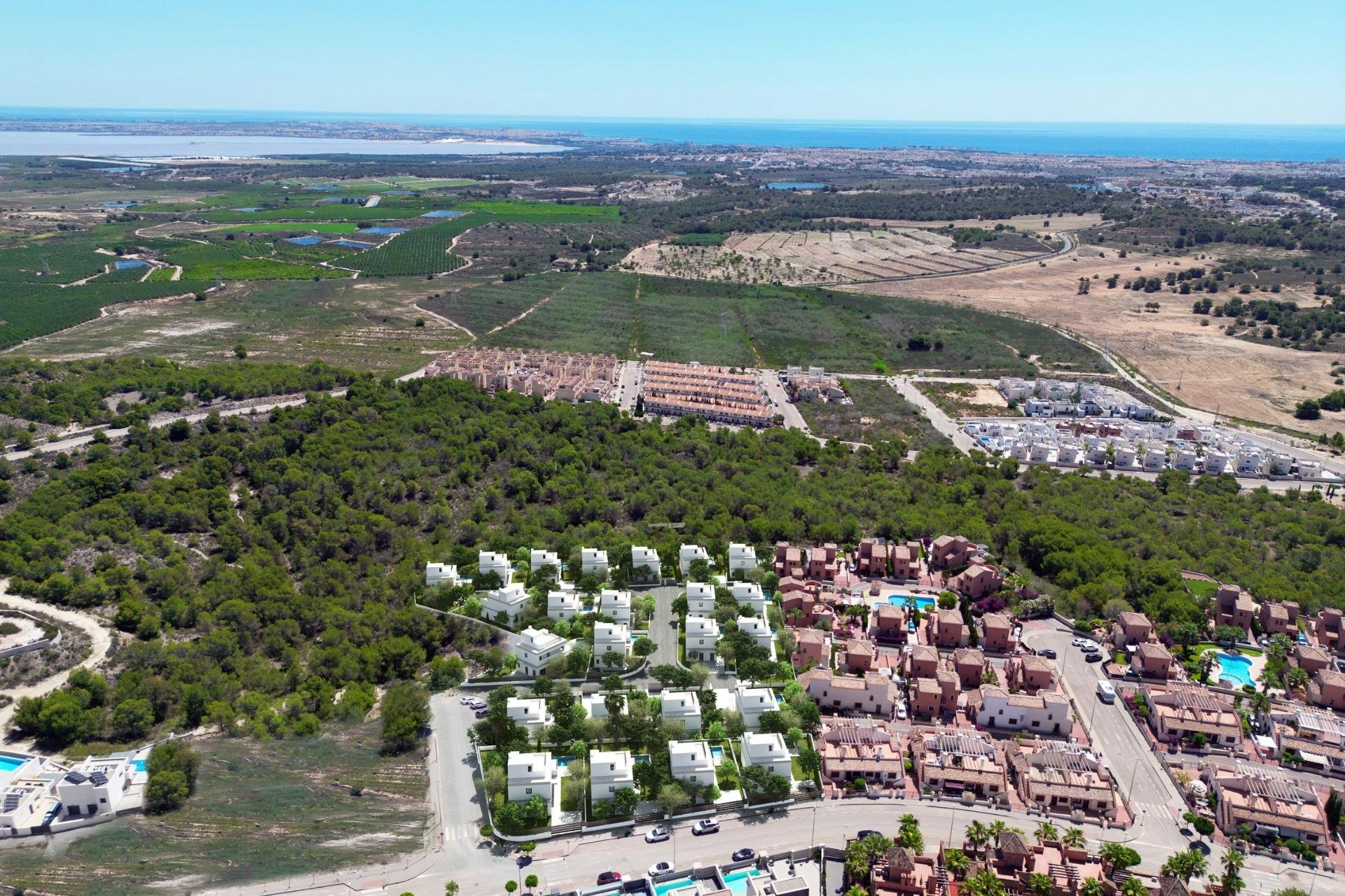 Obra nueva - Chalet - San Miguel de Salinas - Cerro del Sol