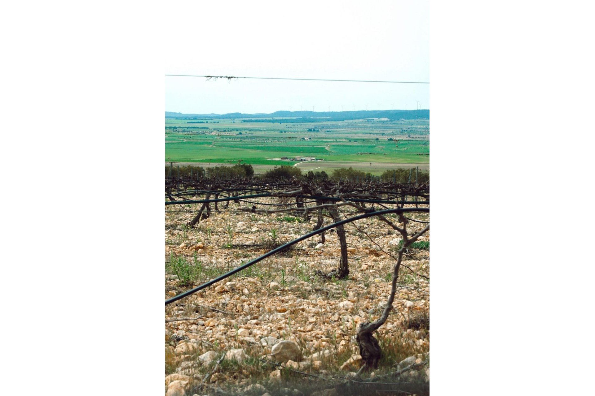 Obra nueva - Chalet - Yecla