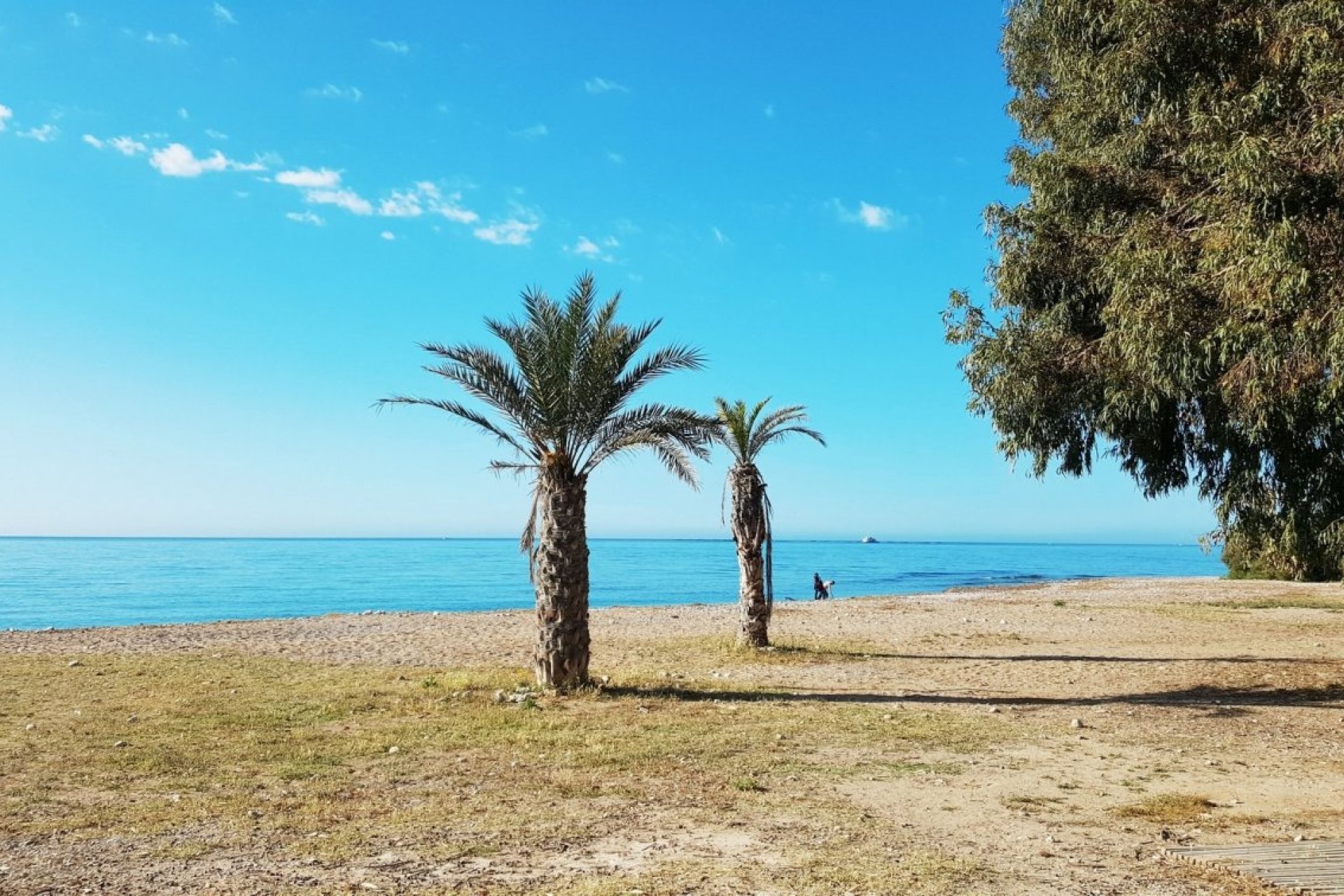 Obra nueva - Planta baja - Villajoyosa - Playas Del Torres