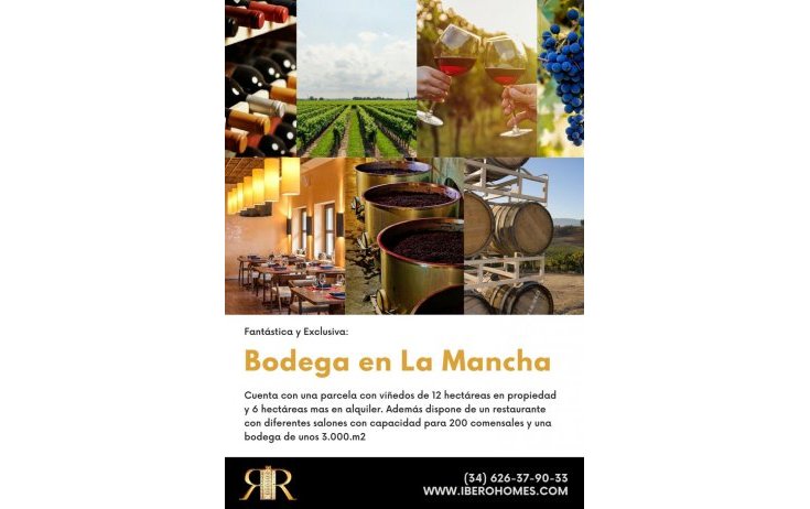 Oferta especial - Reventa - Albacete - Albacete